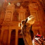 camel in front of a monument in Amman, Jordan