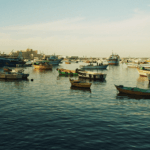 sunset of the ships in Alexandria, Egypt 